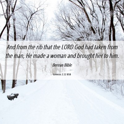 Picture 06 - Genesis 2:22 BSB - And from the rib that the LORD God had taken from - Bible Verse Picture