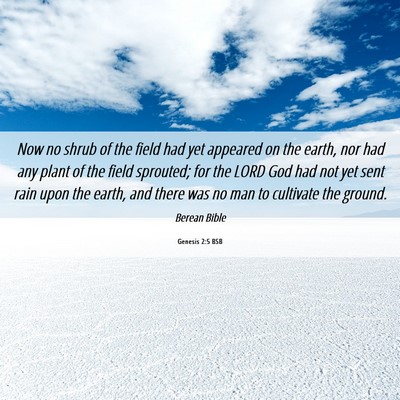 Picture 06 - Genesis 2:5 BSB - Now no shrub of the field had yet appeared on the - Bible Verse Picture