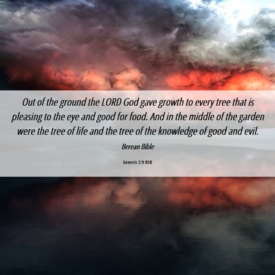 Picture 06 - Genesis 2:9 BSB - Out of the ground the LORD God gave growth to - Bible Verse Picture