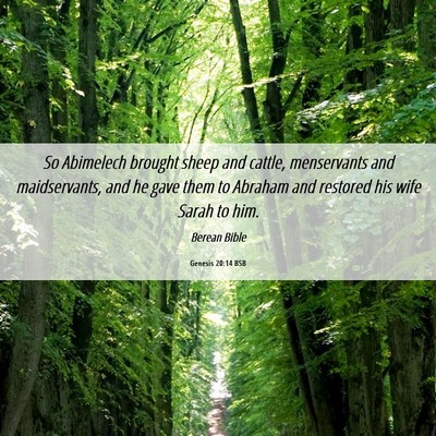 Picture 06 - Genesis 20:14 BSB - So Abimelech brought sheep and cattle, - Bible Verse Picture