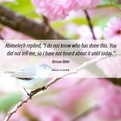 Picture 06 - Genesis 21:26 BSB - Abimelech replied, “I do not know who has done - Bible Verse Picture