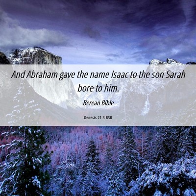 Picture 06 - Genesis 21:3 BSB - And Abraham gave the name Isaac to the son Sarah - Bible Verse Picture