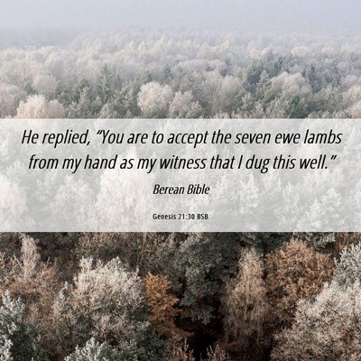 Picture 06 - Genesis 21:30 BSB - He replied, “You are to accept the seven ewe - Bible Verse Picture