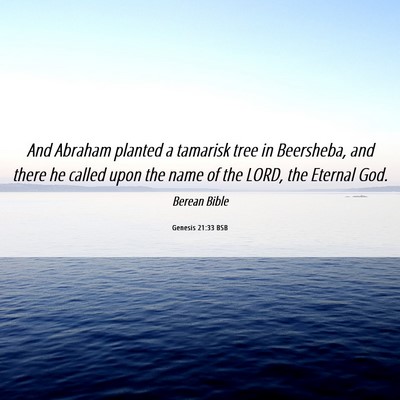 Picture 06 - Genesis 21:33 BSB - And Abraham planted a tamarisk tree in Beersheba, - Bible Verse Picture