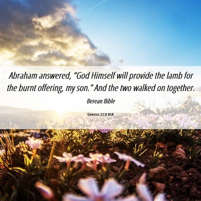 Picture 06 - Genesis 22:8 BSB - Abraham answered, “God Himself will provide the - Bible Verse Picture