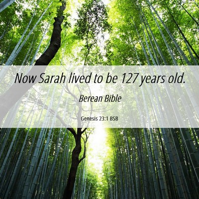 Picture 06 - Genesis 23:1 BSB - Now Sarah lived to be 127 years - Bible Verse Picture