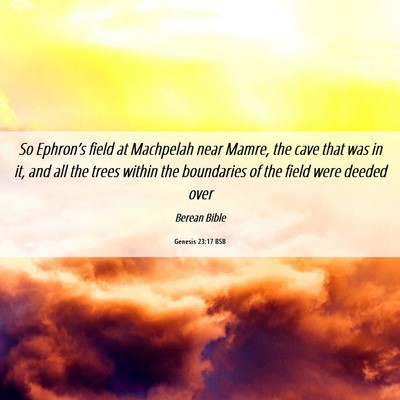 Picture 06 - Genesis 23:17 BSB - So Ephron’s field at Machpelah near Mamre, the - Bible Verse Picture