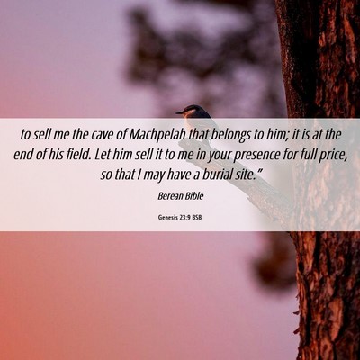 Picture 06 - Genesis 23:9 BSB - to sell me the cave of Machpelah that belongs to - Bible Verse Picture