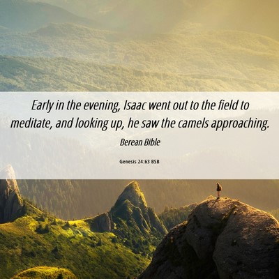 Picture 06 - Genesis 24:63 BSB - Early in the evening, Isaac went out to the field - Bible Verse Picture
