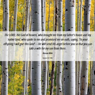 Picture 06 - Genesis 24:7 BSB - The LORD, the God of heaven, who brought me from - Bible Verse Picture