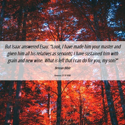 Picture 06 - Genesis 27:37 BSB - But Isaac answered Esau: “Look, I have made him - Bible Verse Picture