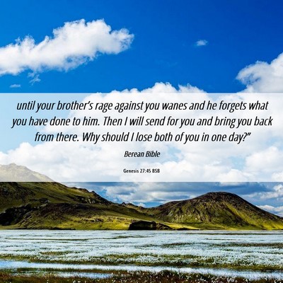 Picture 06 - Genesis 27:45 BSB - until your brother’s rage against you wanes and - Bible Verse Picture