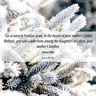 Picture 06 - Genesis 28:2 BSB - “Go at once to Paddan-aram, to the house of - Bible Verse Picture
