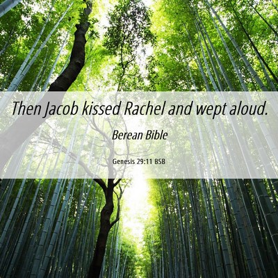 Picture 06 - Genesis 29:11 BSB - Then Jacob kissed Rachel and wept - Bible Verse Picture