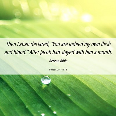 Picture 06 - Genesis 29:14 BSB - Then Laban declared, “You are indeed my own - Bible Verse Picture