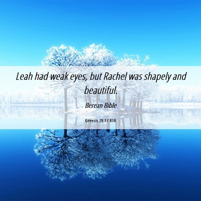 Picture 06 - Genesis 29:17 BSB - Leah had weak eyes, but Rachel was shapely and - Bible Verse Picture