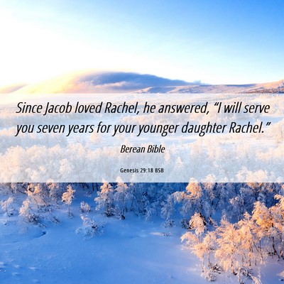 Picture 06 - Genesis 29:18 BSB - Since Jacob loved Rachel, he answered, “I will - Bible Verse Picture