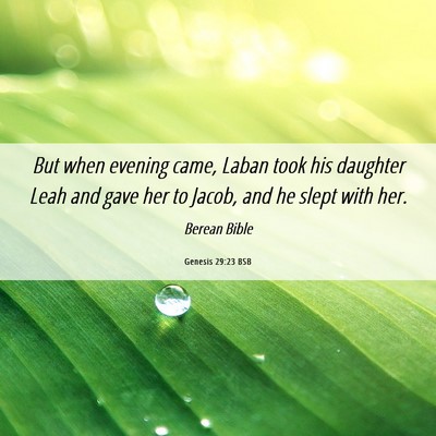 Picture 06 - Genesis 29:23 BSB - But when evening came, Laban took his daughter - Bible Verse Picture
