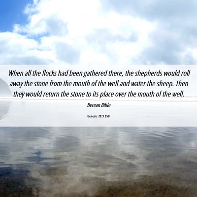 Picture 06 - Genesis 29:3 BSB - When all the flocks had been gathered there, the - Bible Verse Picture