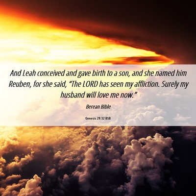 Picture 06 - Genesis 29:32 BSB - And Leah conceived and gave birth to a son, and - Bible Verse Picture