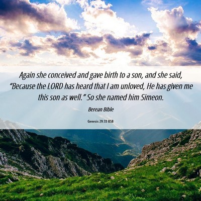 Picture 06 - Genesis 29:33 BSB - Again she conceived and gave birth to a son, and - Bible Verse Picture