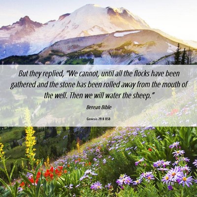 Picture 06 - Genesis 29:8 BSB - But they replied, “We cannot, until all the - Bible Verse Picture
