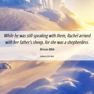 Picture 06 - Genesis 29:9 BSB - While he was still speaking with them, Rachel - Bible Verse Picture