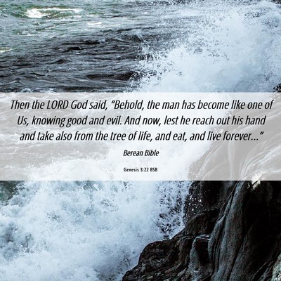 Picture 06 - Genesis 3:22 BSB - Then the LORD God said, “Behold, the man has - Bible Verse Picture
