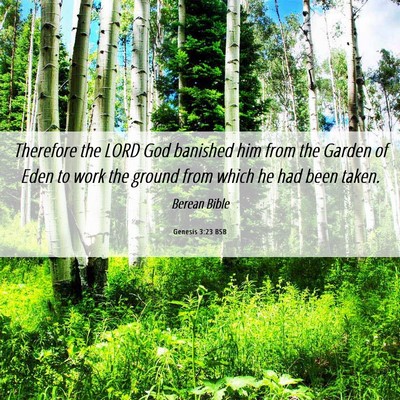 Picture 06 - Genesis 3:23 BSB - Therefore the LORD God banished him from the - Bible Verse Picture