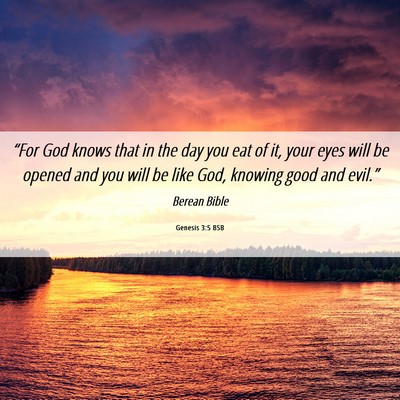 Picture 06 - Genesis 3:5 BSB - “For God knows that in the day you eat of it, - Bible Verse Picture