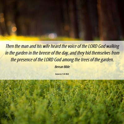 Picture 06 - Genesis 3:8 BSB - Then the man and his wife heard the voice of the - Bible Verse Picture