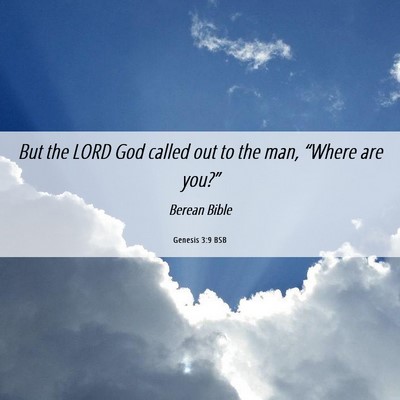 Picture 06 - Genesis 3:9 BSB - But the LORD God called out to the man, “Where - Bible Verse Picture