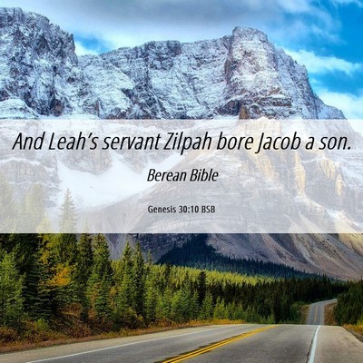Picture 06 - Genesis 30:10 BSB - And Leah’s servant Zilpah bore Jacob a - Bible Verse Picture