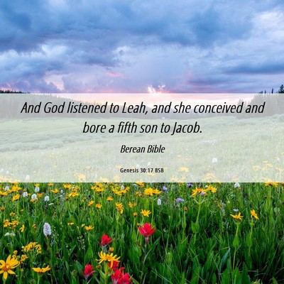Picture 06 - Genesis 30:17 BSB - And God listened to Leah, and she conceived and - Bible Verse Picture