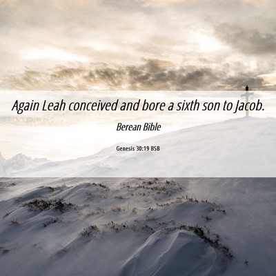 Picture 06 - Genesis 30:19 BSB - Again Leah conceived and bore a sixth son to - Bible Verse Picture