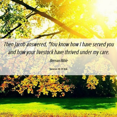 Picture 06 - Genesis 30:29 BSB - Then Jacob answered, “You know how I have - Bible Verse Picture