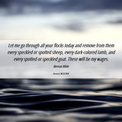 Picture 06 - Genesis 30:32 BSB - Let me go through all your flocks today and - Bible Verse Picture