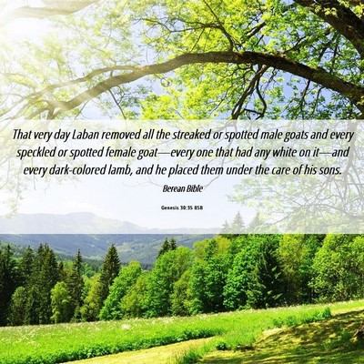 Picture 06 - Genesis 30:35 BSB - That very day Laban removed all the streaked or - Bible Verse Picture