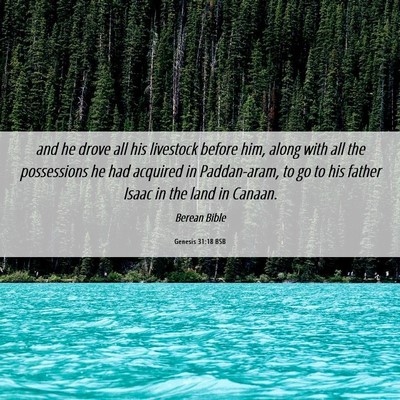 Picture 06 - Genesis 31:18 BSB - and he drove all his livestock before him, along - Bible Verse Picture