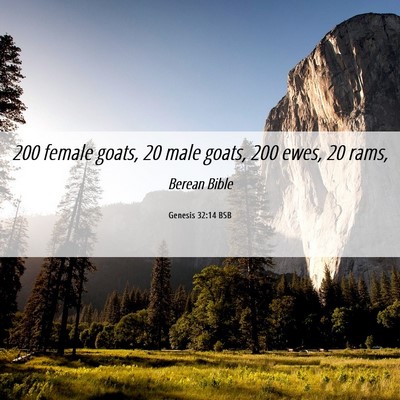 Picture 06 - Genesis 32:14 BSB - 200 female goats, 20 male goats, 200 ewes, 20 - Bible Verse Picture