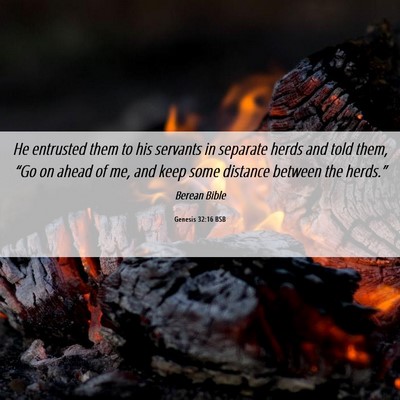 Picture 06 - Genesis 32:16 BSB - He entrusted them to his servants in separate - Bible Verse Picture