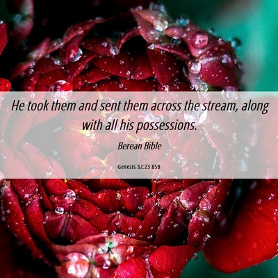 Picture 06 - Genesis 32:23 BSB - He took them and sent them across the stream, - Bible Verse Picture