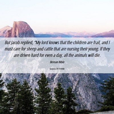 Picture 06 - Genesis 33:13 BSB - But Jacob replied, “My lord knows that the - Bible Verse Picture