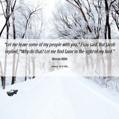 Picture 06 - Genesis 33:15 BSB - “Let me leave some of my people with you,” - Bible Verse Picture