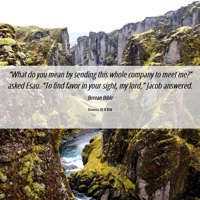 Picture 06 - Genesis 33:8 BSB - “What do you mean by sending this whole company - Bible Verse Picture