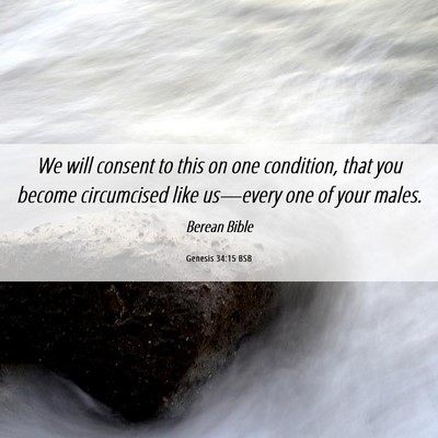 Picture 06 - Genesis 34:15 BSB - We will consent to this on one condition, that - Bible Verse Picture