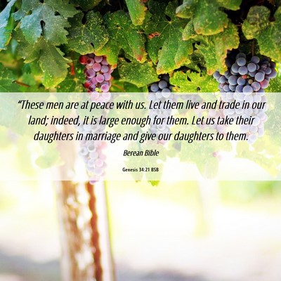 Picture 06 - Genesis 34:21 BSB - “These men are at peace with us. Let them live - Bible Verse Picture