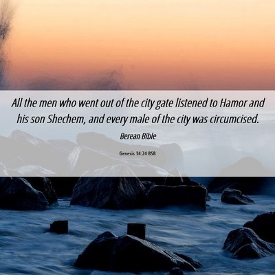 Picture 06 - Genesis 34:24 BSB - All the men who went out of the city gate - Bible Verse Picture