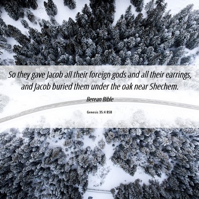 Picture 06 - Genesis 35:4 BSB - So they gave Jacob all their foreign gods and all - Bible Verse Picture