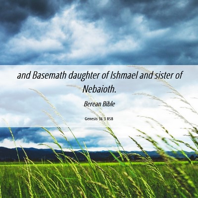Picture 06 - Genesis 36:3 BSB - and Basemath daughter of Ishmael and sister of - Bible Verse Picture